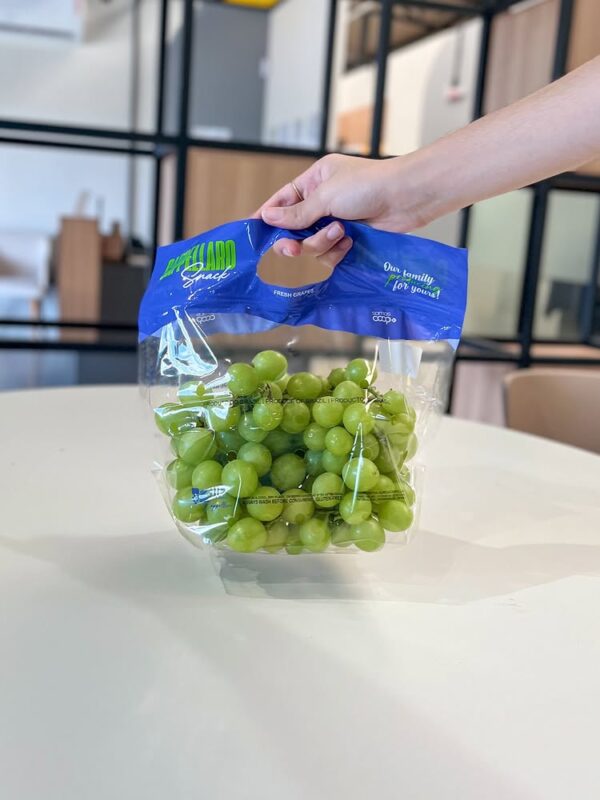 Sacolas Plásticas Personalizadas