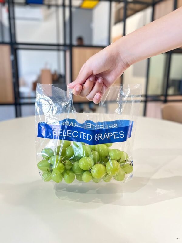 Sacolas Plásticas Personalizadas