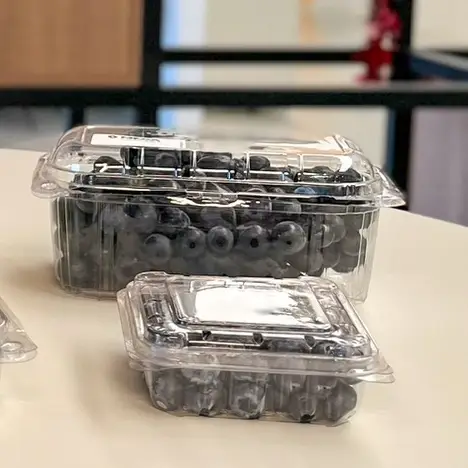 Cumbucas Clamshell e Open top. (Cestas plásticas)