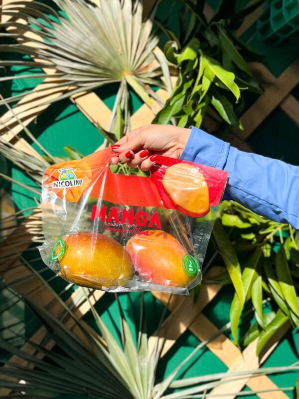 Sacolas Plásticas Personalizadas