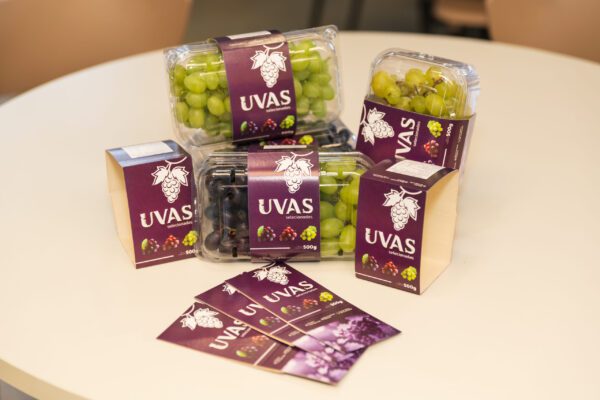 Cumbucas Clamshell e Open top. (Cestas plásticas)