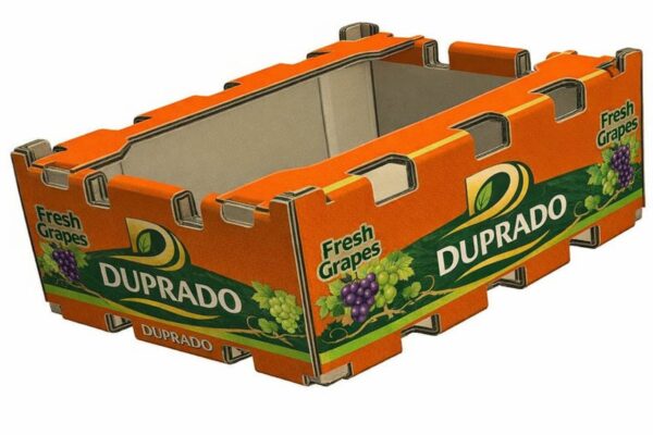 Caixas de Papelão Mercado Interno e Externo