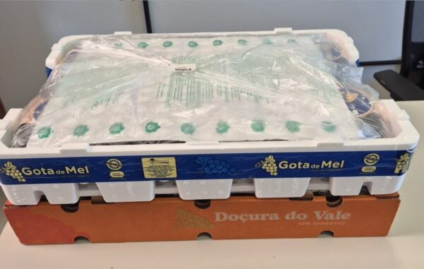 Generador (Gerador de SO²) | Proteção de Frutas