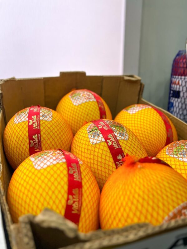 malha2 Malha redinha